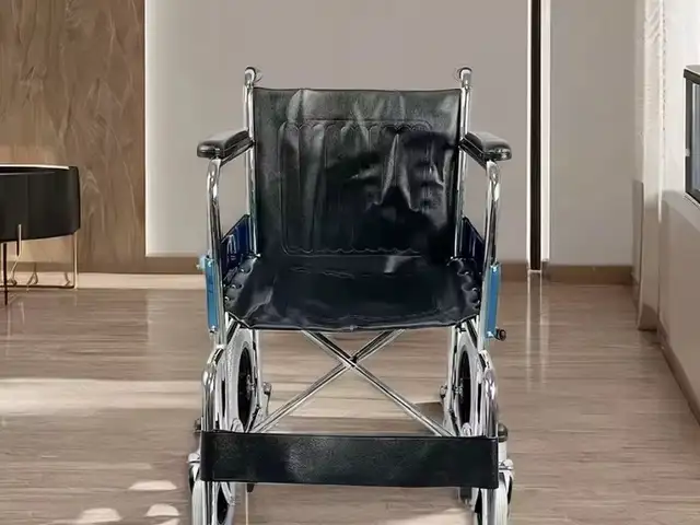 Аробачаи маъюби, Душанбе