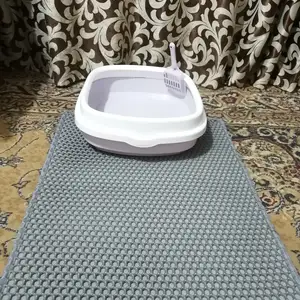 Коврик под лоток, Душанбе