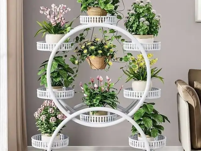 Гулмонак, Хуҷанд