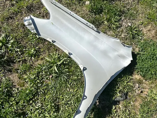 Крыло от Toyota, Душанбе