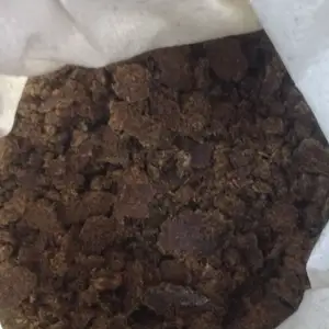 Кунжора, Бободжон Гафуров