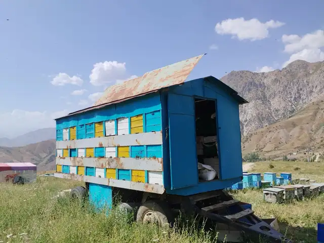 Вагон для пчел, Душанбе