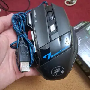 Игровая Мышь, Душанбе