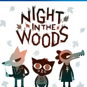 Игра Night in the woods для PS-4 / 6.72 / 9.00 / 11.00 / 12.02 / 13.00 /, Душанбе