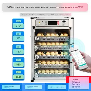 Инкубатор, Душанбе