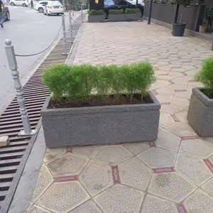 Цветочница, Душанбе