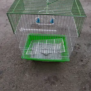 Клетка, Худжанд