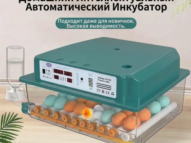 Инкубатор, Душанбе