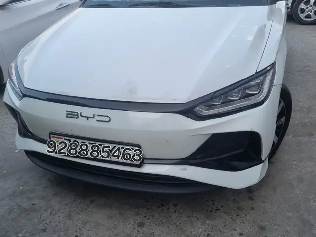 BYD E2