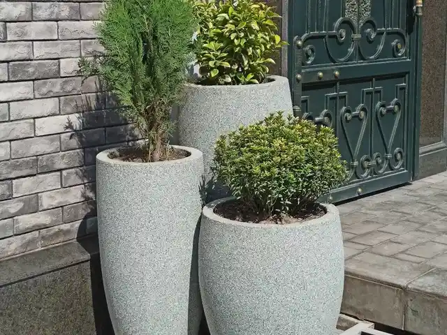 Гулдон, Душанбе