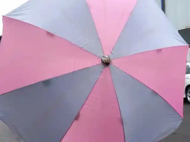 Зонтик, Душанбе