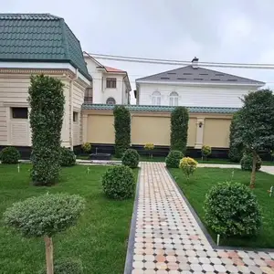 Дарахти ороиши, Душанбе