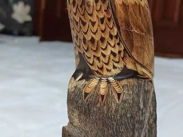 Статуэтка орёл, Душанбе