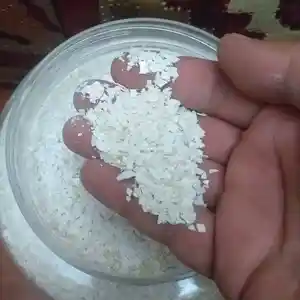 Дроблёная яичная скорлупа, Душанбе