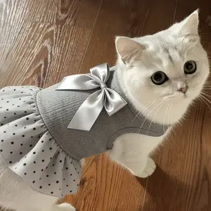 Одежда для кошек, Худжанд