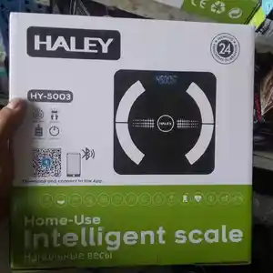 Весы HAley HY-5003, Душанбе
