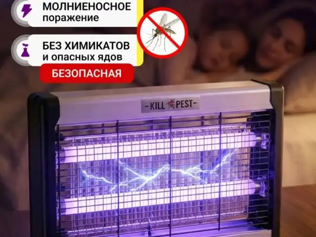 Ловушка для всех маскитов, Душанбе