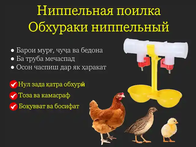 Поилка/Обхураки дутагаи ниппелӣ, Душанбе