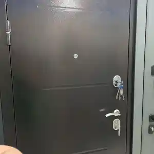 Входная дверь, Душанбе