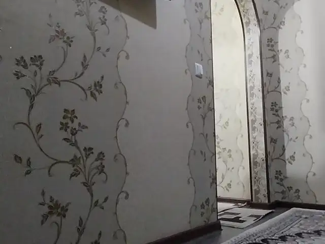 2-комн. квартира, 4 этаж, 54м², Фирдавси, Душанбе