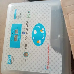 Аппарат инкубатор, Худжанд