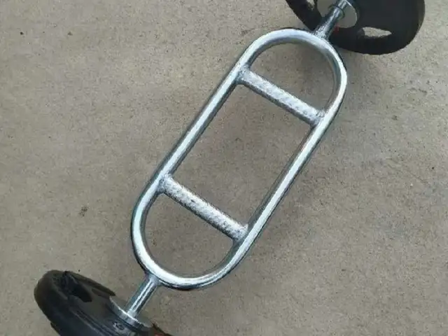 Гриф, Душанбе