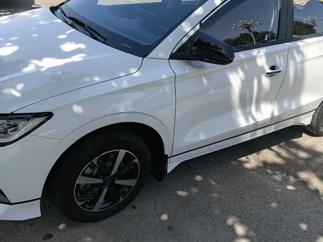 BYD E2