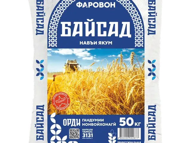 Мука Байсад, Худжанд