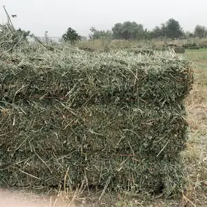 Прессованное сено, Душанбе