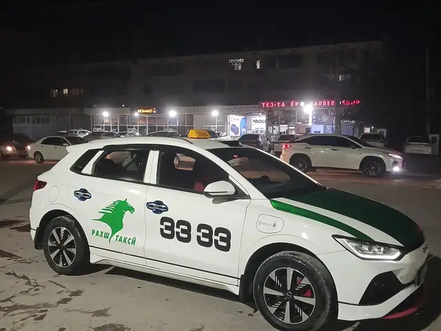 BYD E2