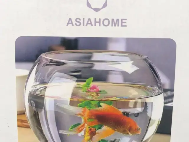 Аквариум, Душанбе