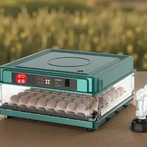 Инкубатор, Душанбе