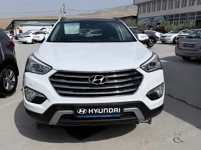 Hyundai Maxcruz