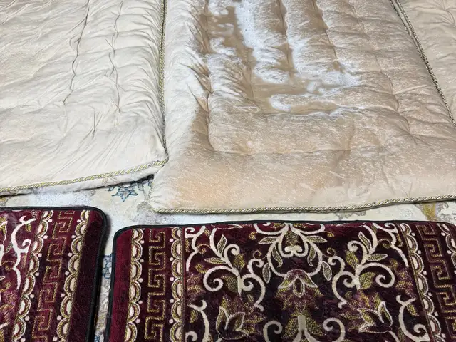 Хизматрасонии колиншуи, Душанбе