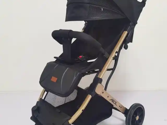 Коляска, Душанбе