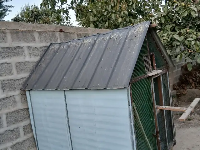 Кафтархона, Ҷаббор Расулов