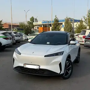 Dongfeng Hedmos 06