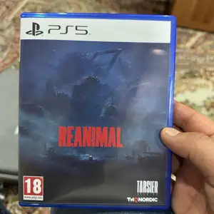Игра Reanimal, Худжанд