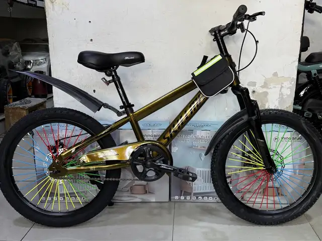 Велосипед R20, Худжанд