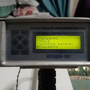 Золотоискатель селективный, Душанбе