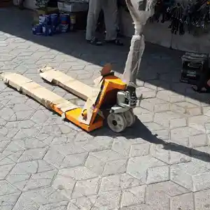 Рохля, Душанбе