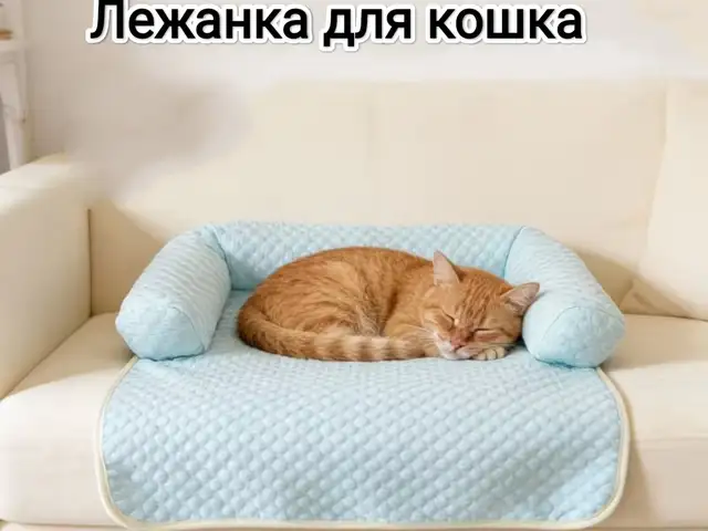 Лежанка для кошек, Душанбе