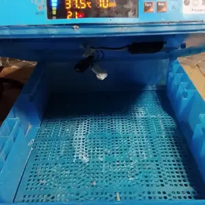 Инкубатор, Худжанд