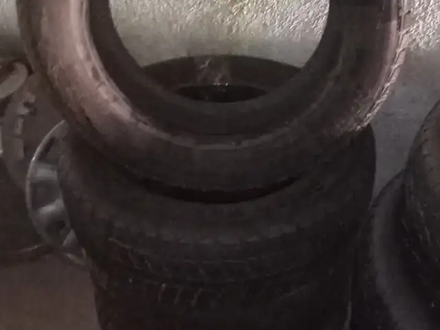 Шины R16, Ваҳдат