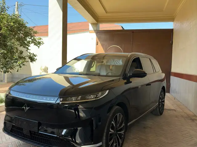 Dongfeng EP 008