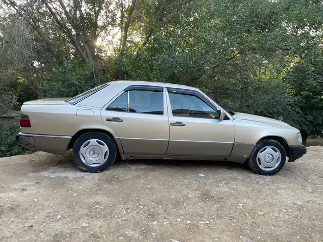Mercedes-Benz W124