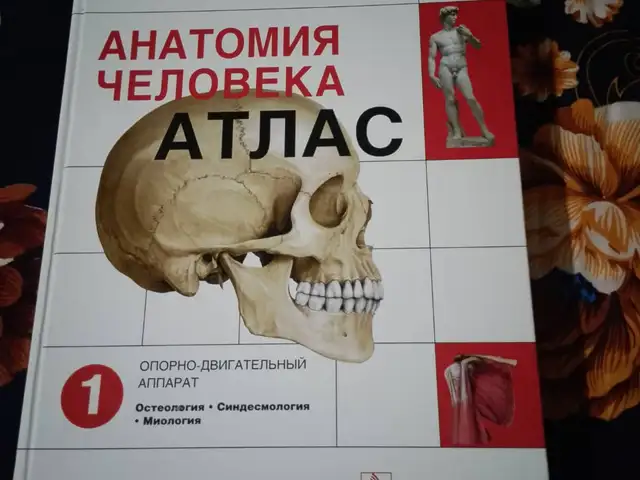 Атлас Анатомия Человека, Душанбе