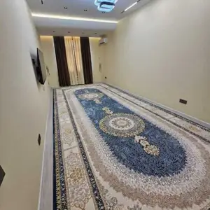 Колин, Душанбе