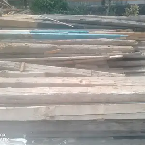 Чуб ва Тахтахои Алло, Канибадам