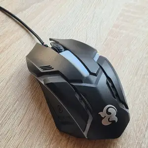 Мышь, Хуҷанд